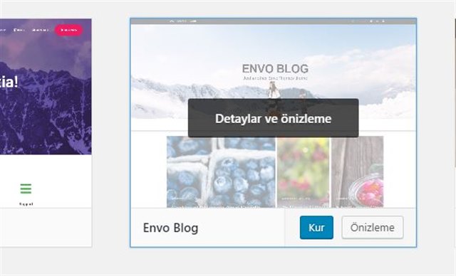 Sıfırdan Wordpress Blog Oluşturma Rehberi temaonizle - Sıfırdan Wordpress Blog Oluşturma Rehberi