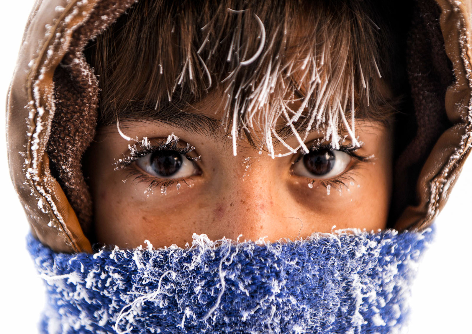 Yasam Kategorisi - AA Yılın Fotoğrafı Oylaması