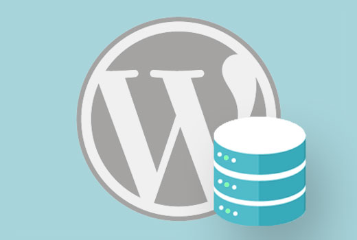 Wordpress Hız Optimizasyonu wpdbcalls - Wordpress Hız Optimizasyonu