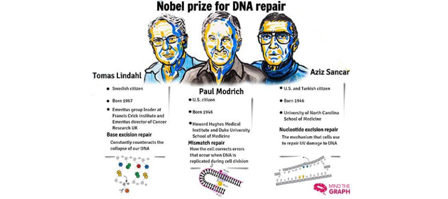 mind the graph aziz sancar - Ücretsiz İnfografik Oluşturma Araçları