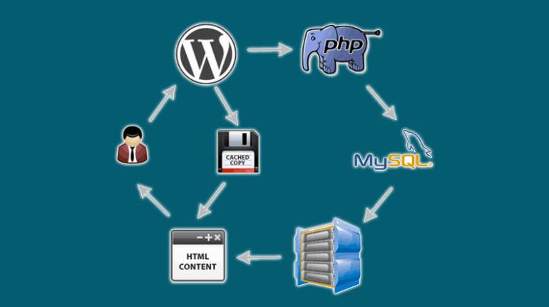 wordpress cache eklenti 2022 - Wordpress Hız Optimizasyonu